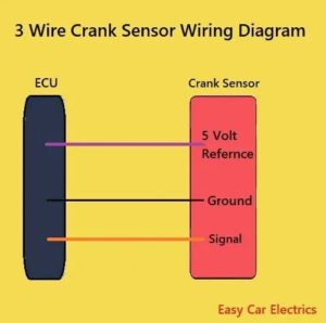 2& 3 Wire Crank Sensor Wiring Diagram: W/Pics, In-Depth Look